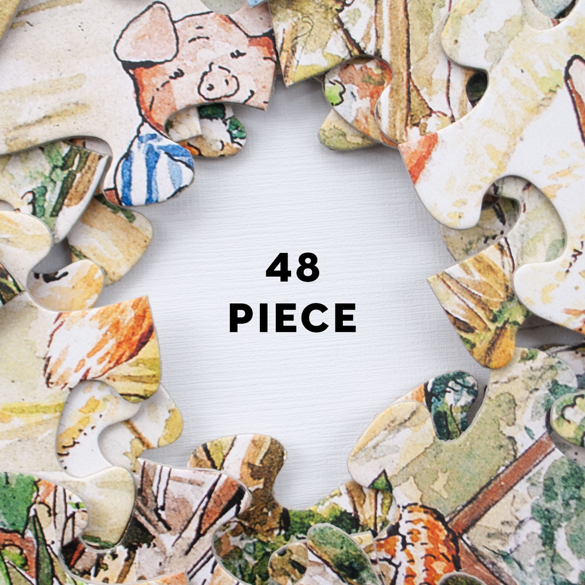 48 Piece