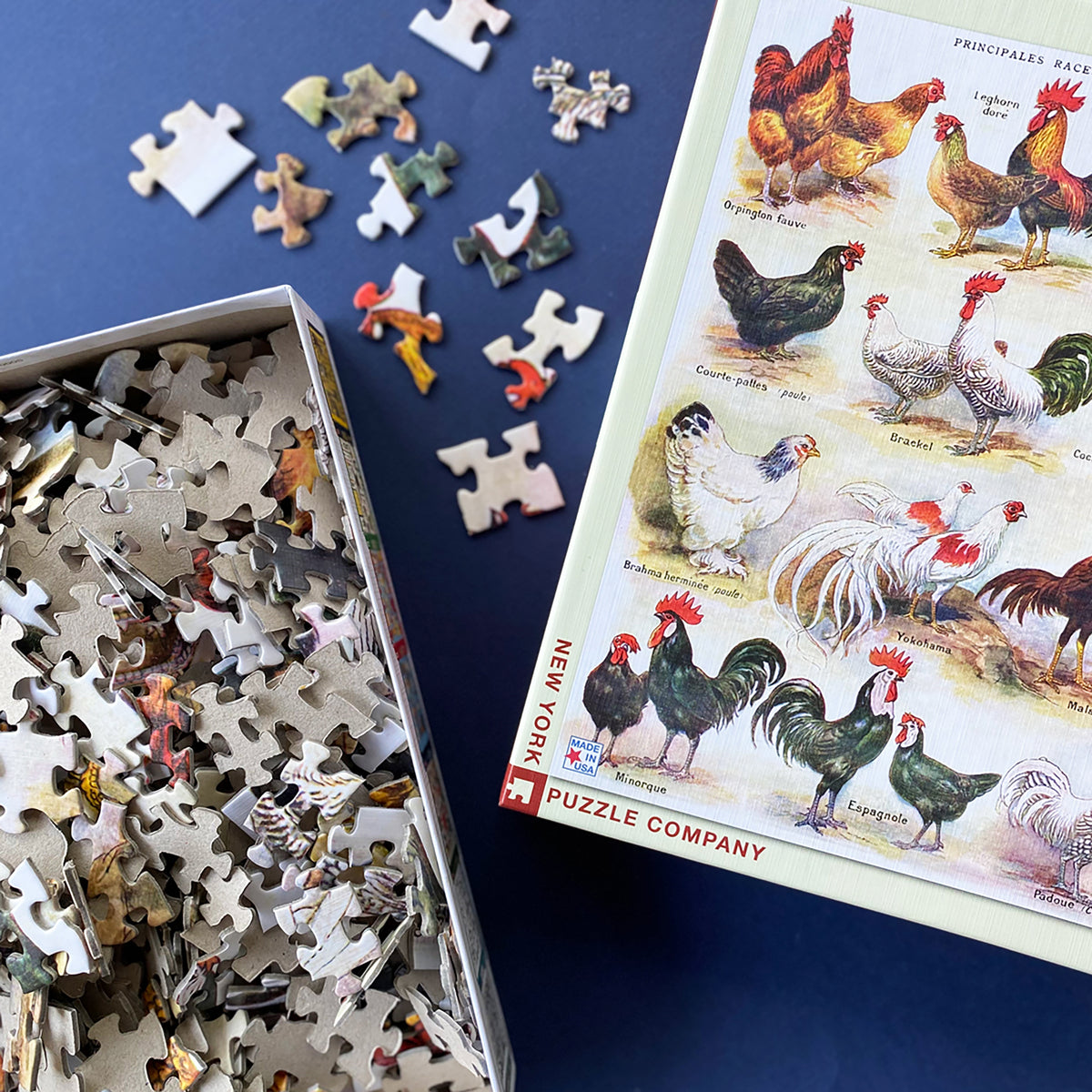 Full Sized + Mini Puzzles