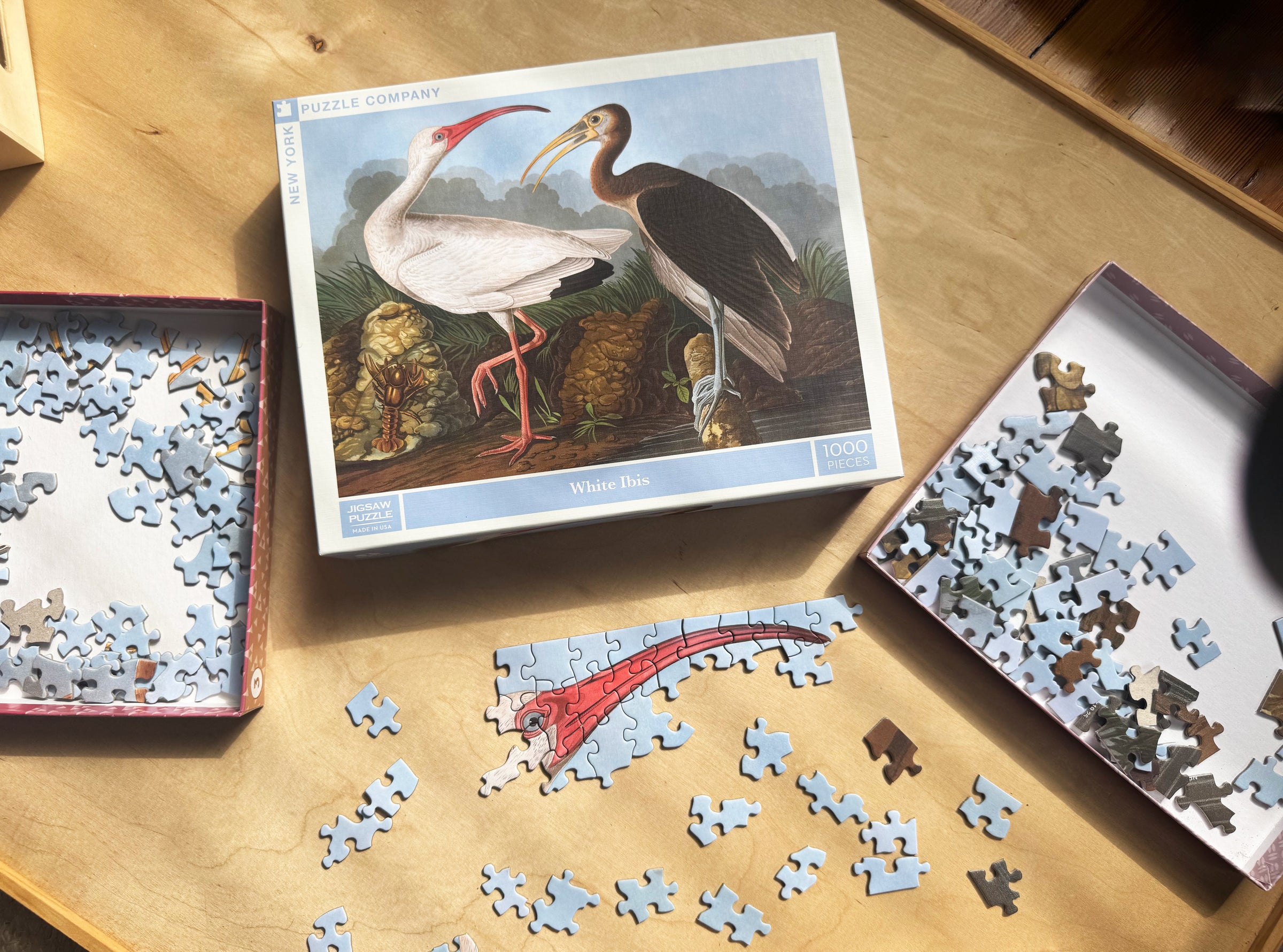 Birds of America: Audubon Bird Puzzles