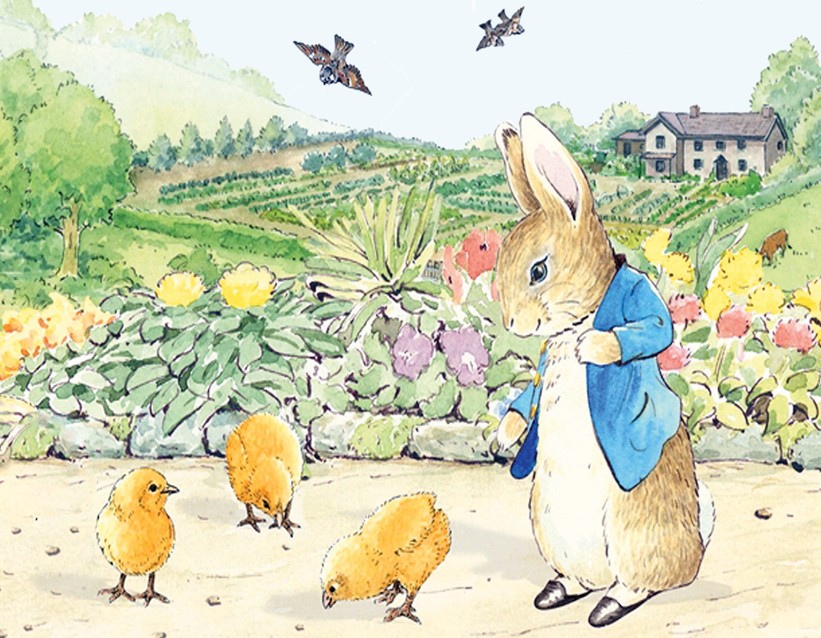 Spring Chicks Mini Image 3