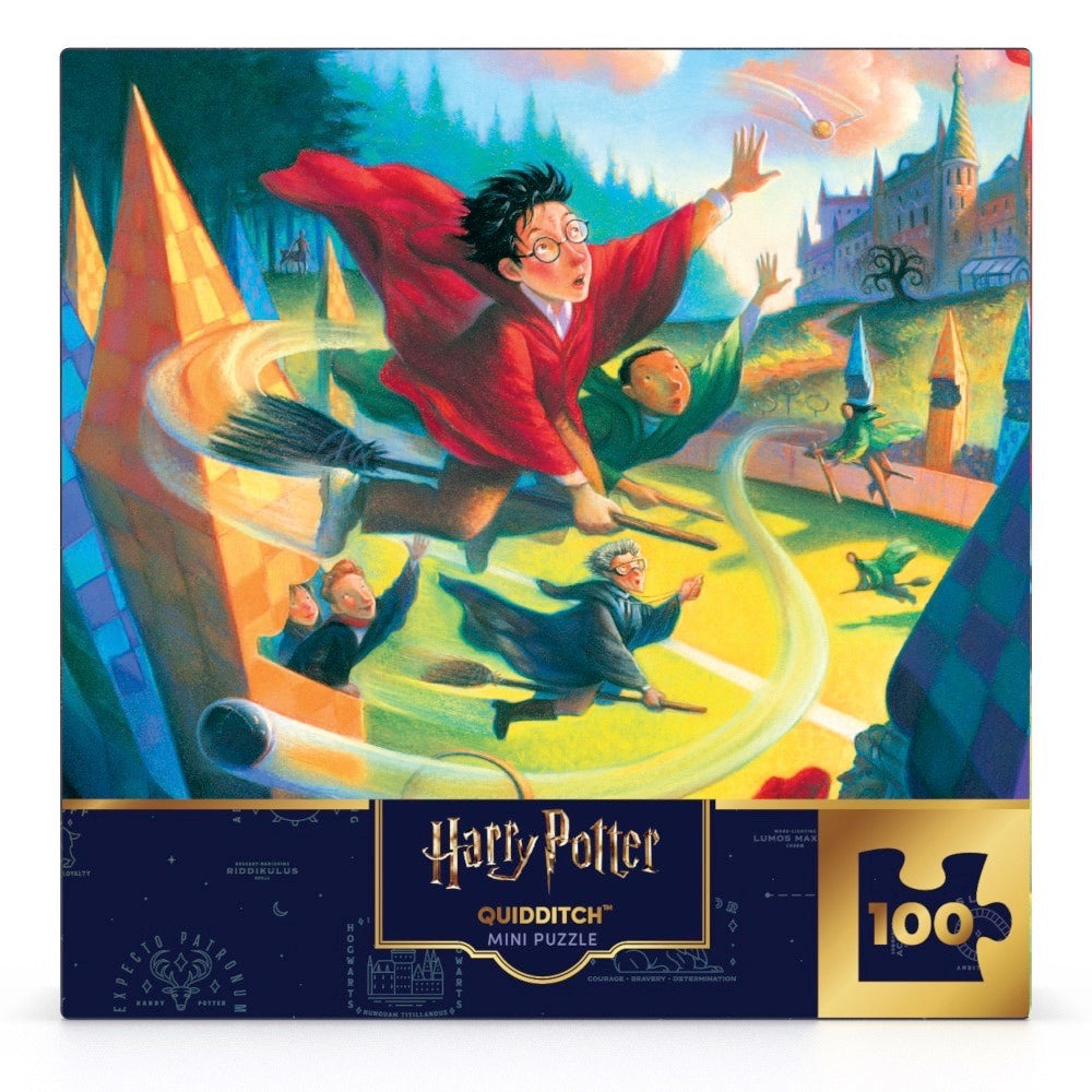 Quidditch Mini Image 2