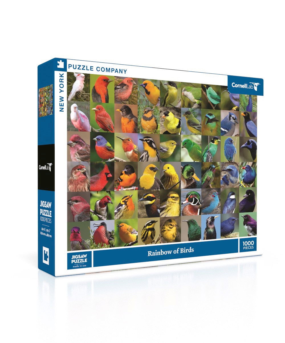 Rainbow of Birds Image 1