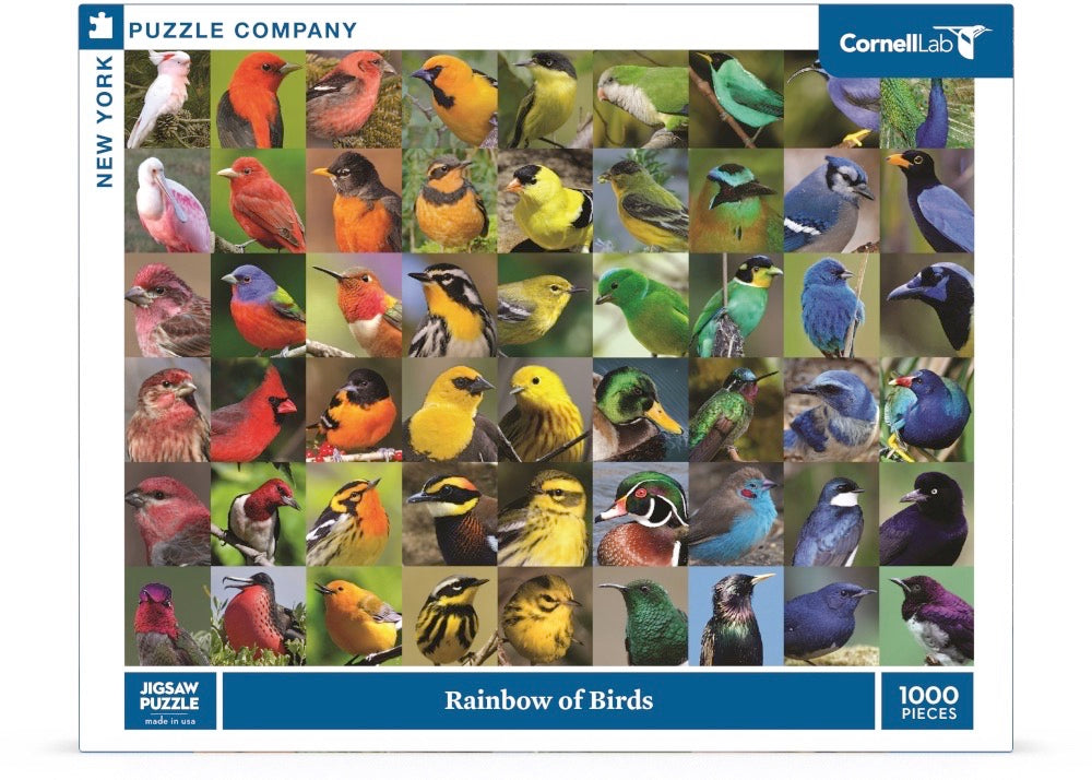 Rainbow of Birds Image 2
