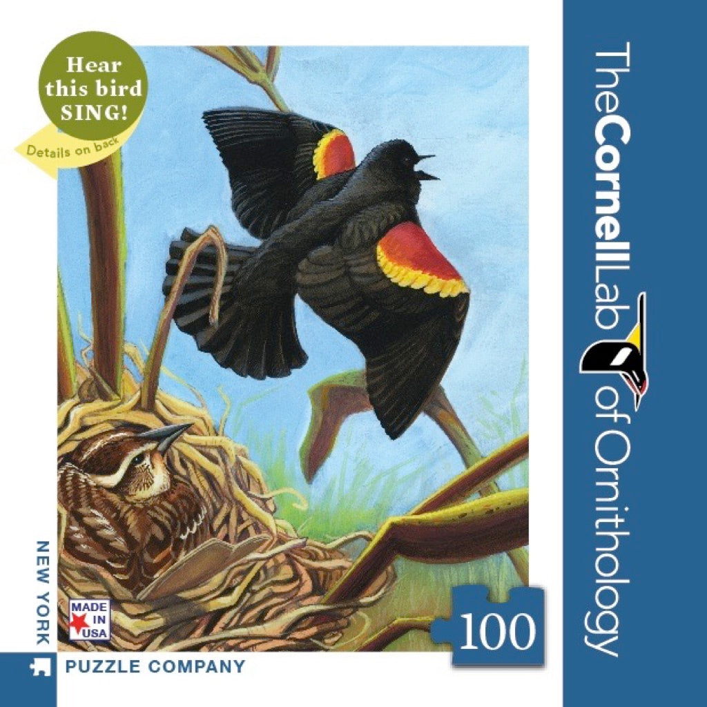 Red-winged Blackbird Mini Image 2