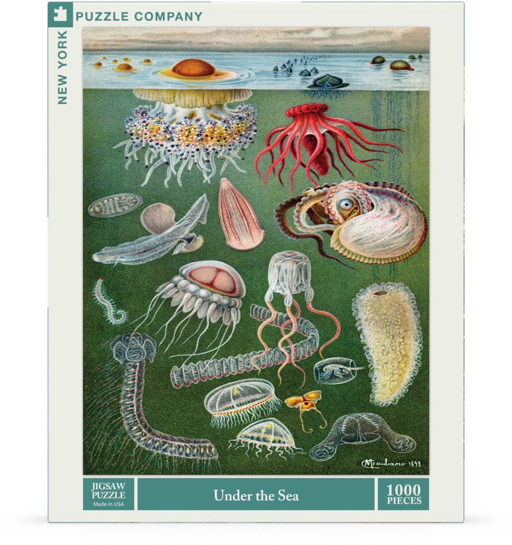 Under the Sea Image 2