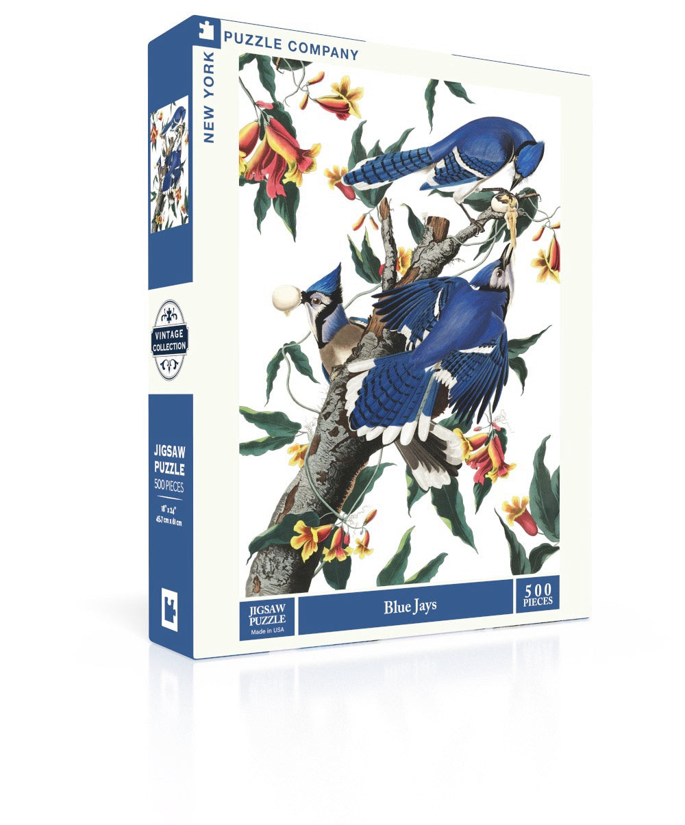 Blue Jays Image 1