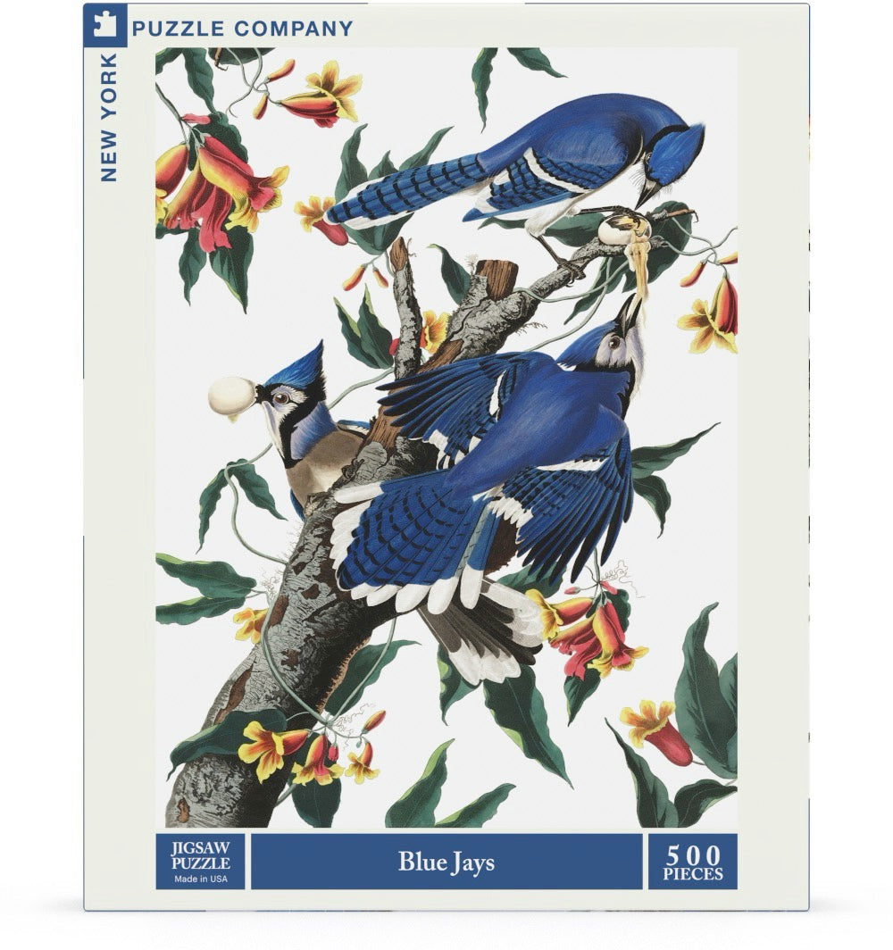 Blue Jays Image 2