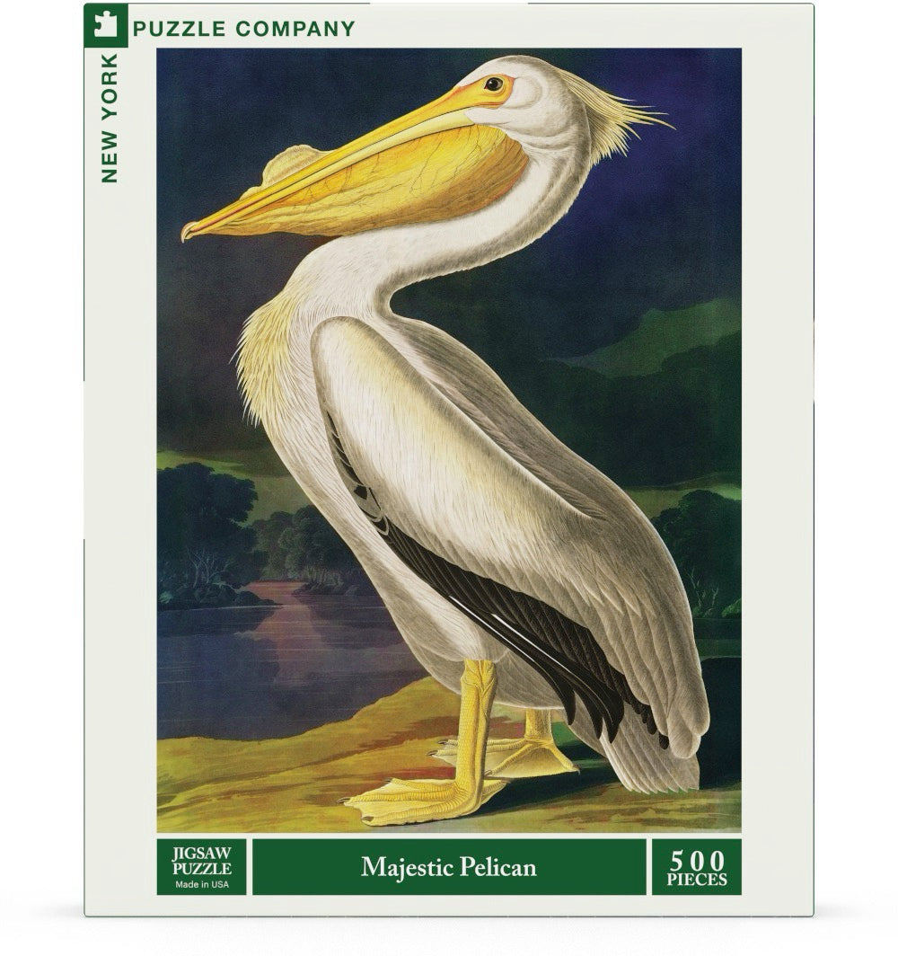 Majestic Pelican Image 2