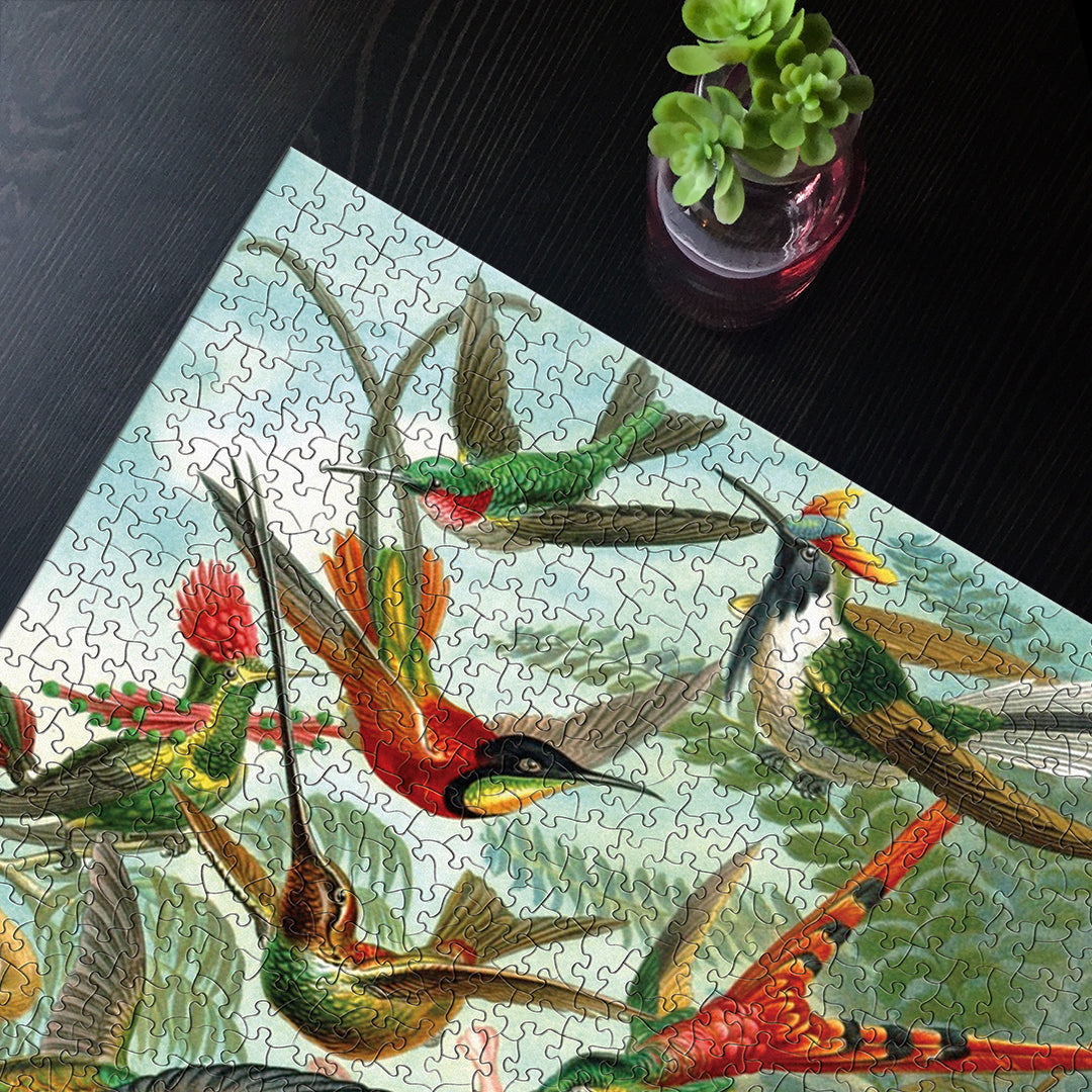 Hummingbirds Image 4